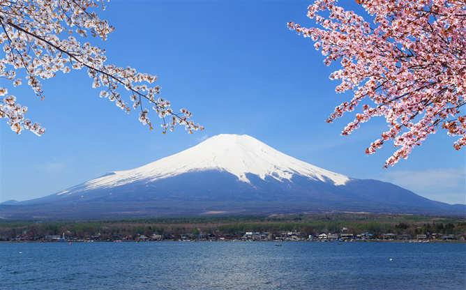 富士山樱花幻灯片背景图片