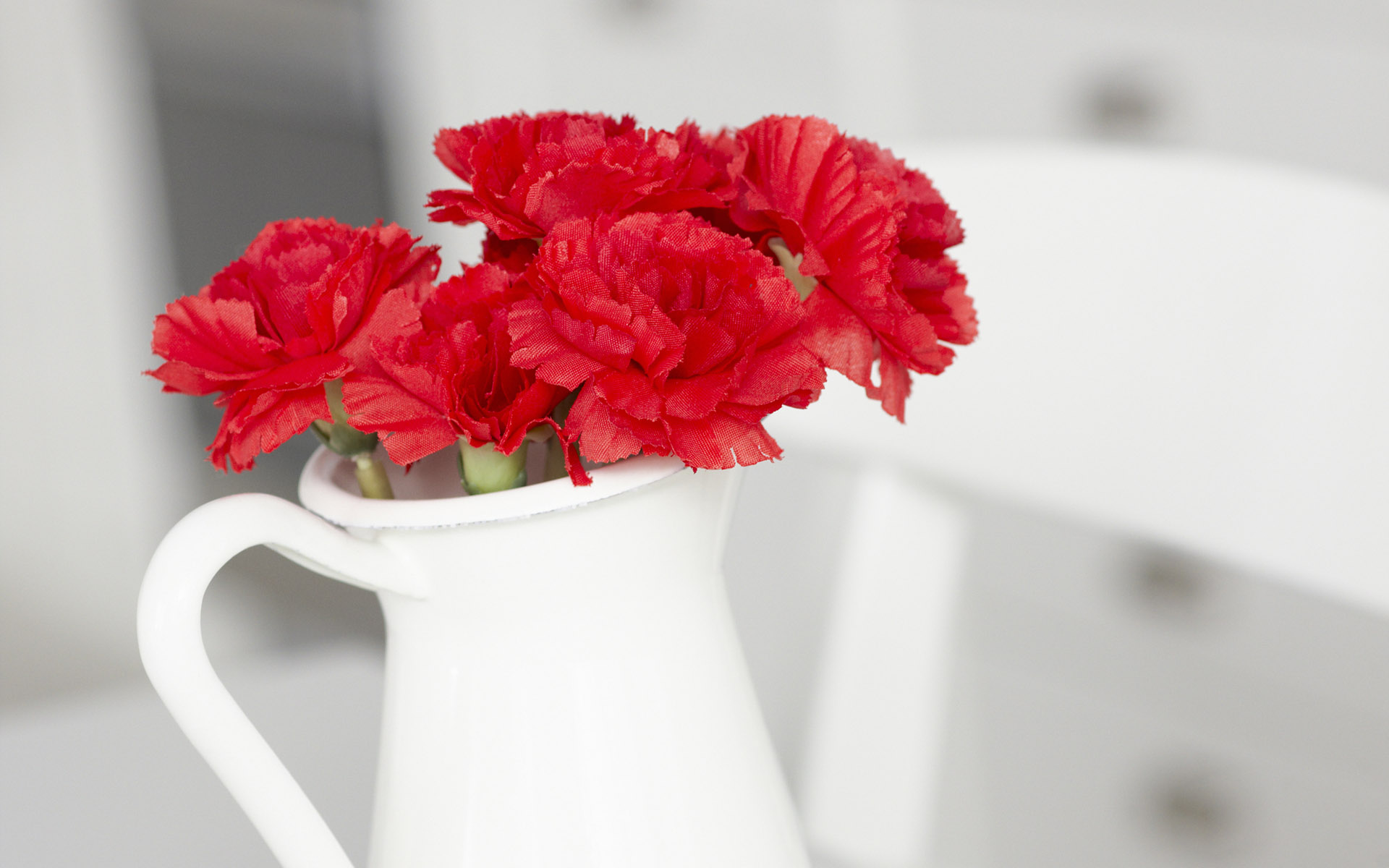 花瓶里插着的红花儿背景图片