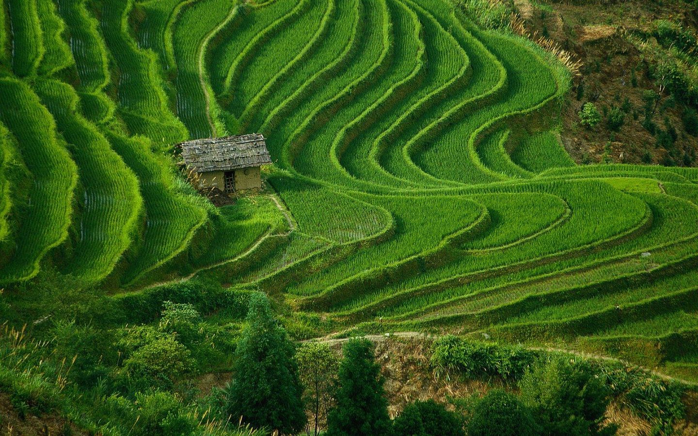 梯田风景