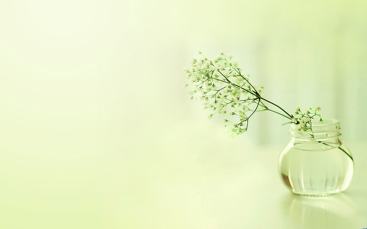 插在玻璃瓶里的小花——宁静淡雅绿幻灯片背景