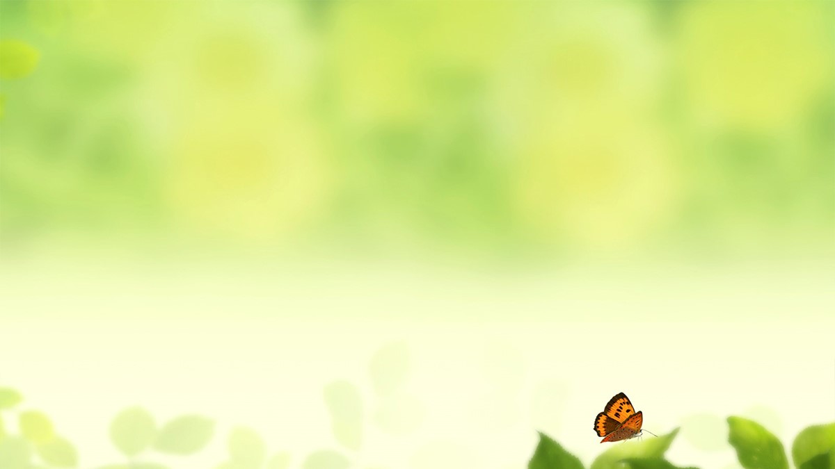 绿叶上的蝴蝶 清新淡雅绿幻灯片背景