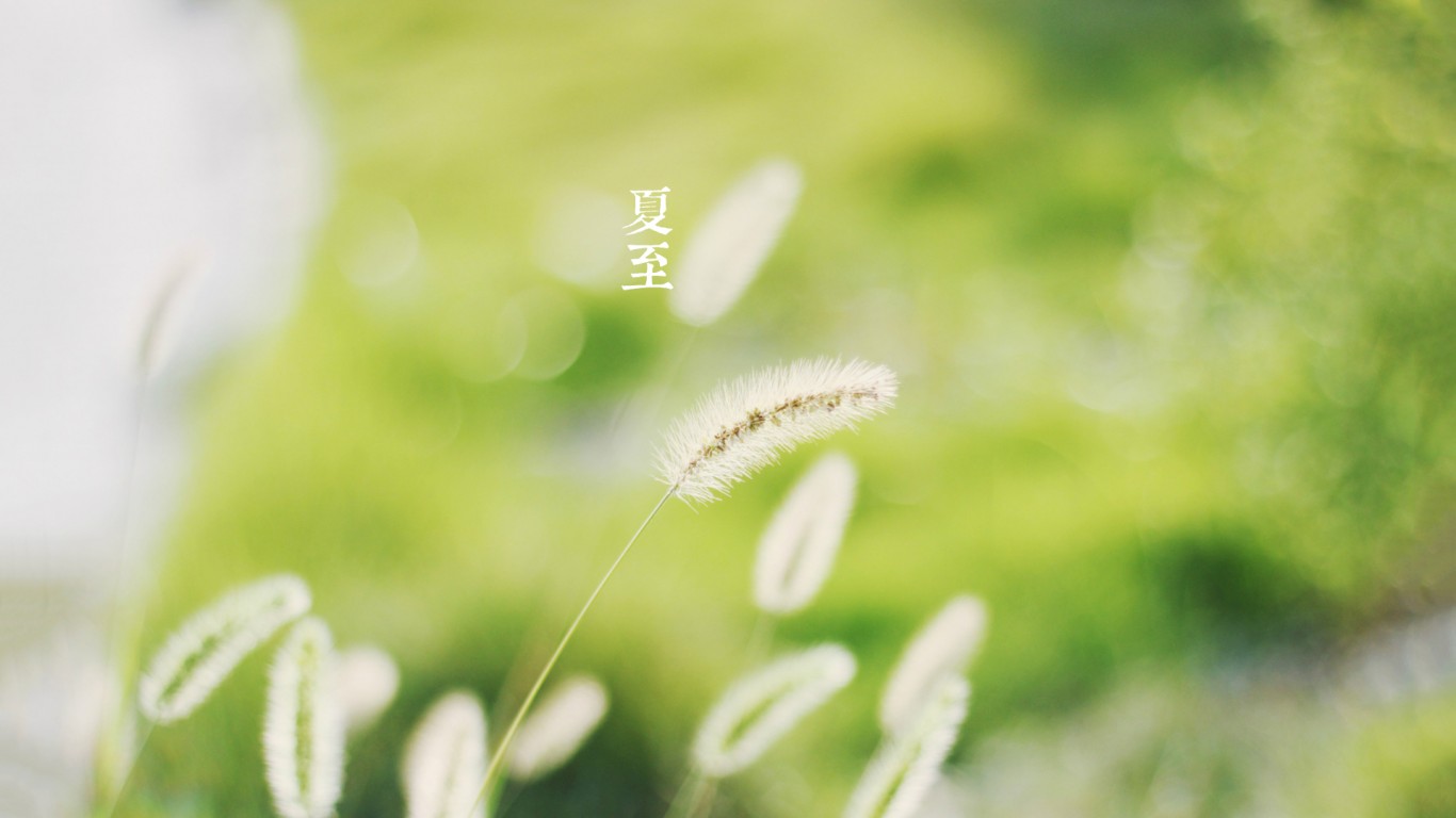 淡雅绿色小清新幻灯片图片