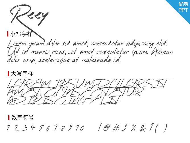 Reey字体
