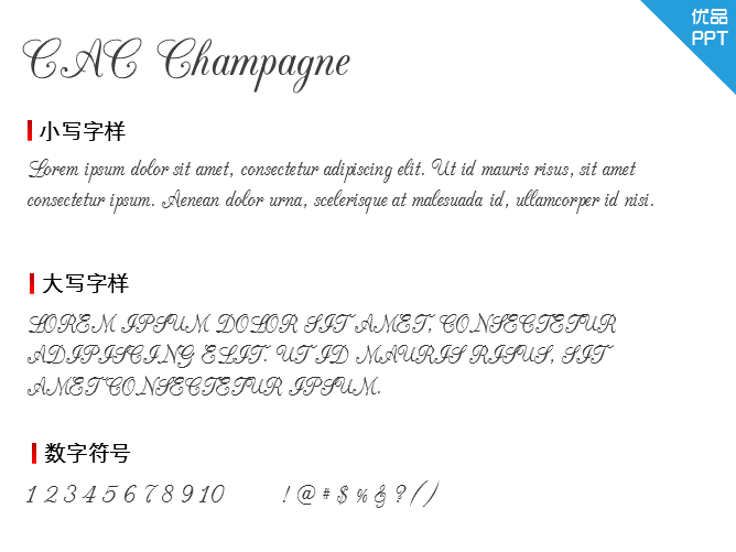 CAC Champagne字体