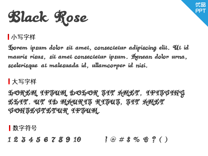 Black Rose字体