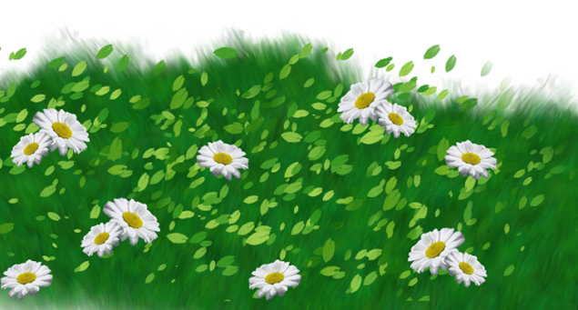  120张草坪草皮植物花卉背景透明png图片素材下载（下）