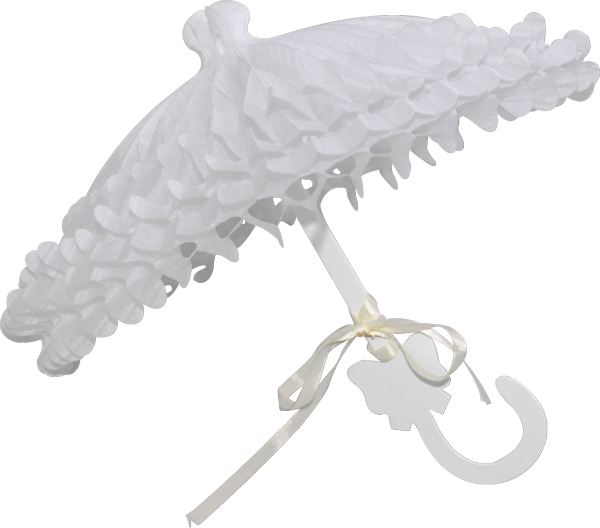 白色小公主雨伞