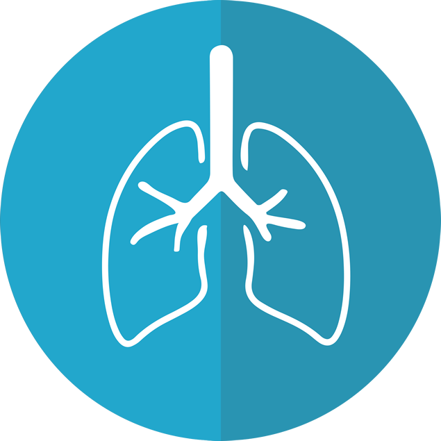 肺的卡通风图标